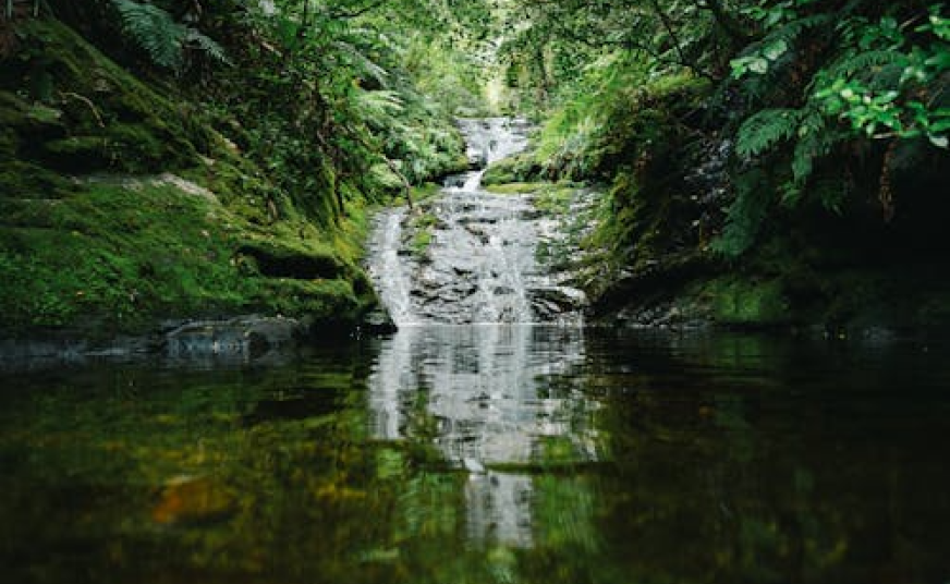 Nature experience image